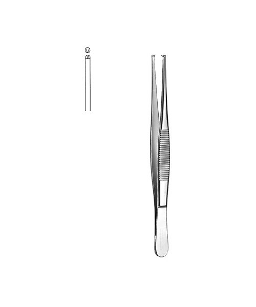 Dissecting Forceps